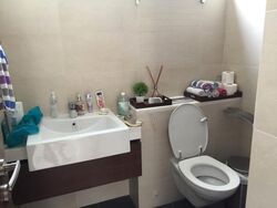 One Tree Hill Residence (D10), Apartment #625473741